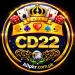CD22 Game
