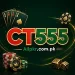 CT555 Game