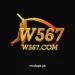 W567 Game