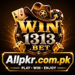 WIN3131
