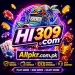 HI309 Game