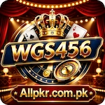 WGS456 Game